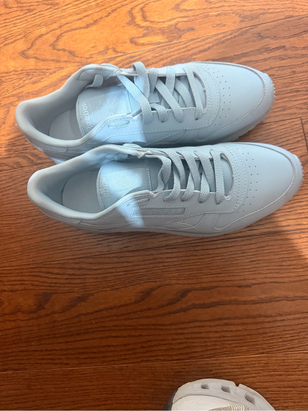Reebok women’s Pale Blue Low-Top Sneakers